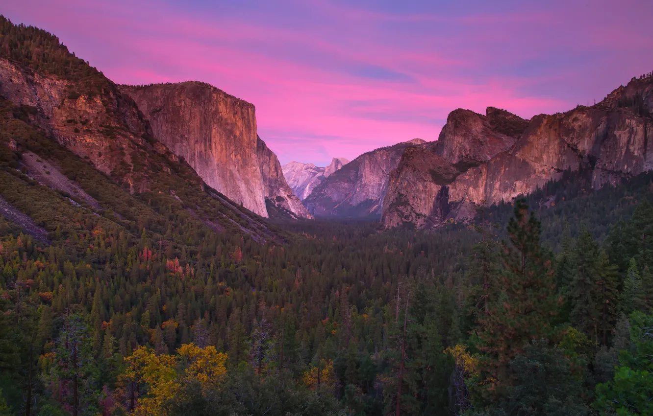 Photo wallpaper forest, the sky, mountains, CA, glow, USA, Yosemite National Park