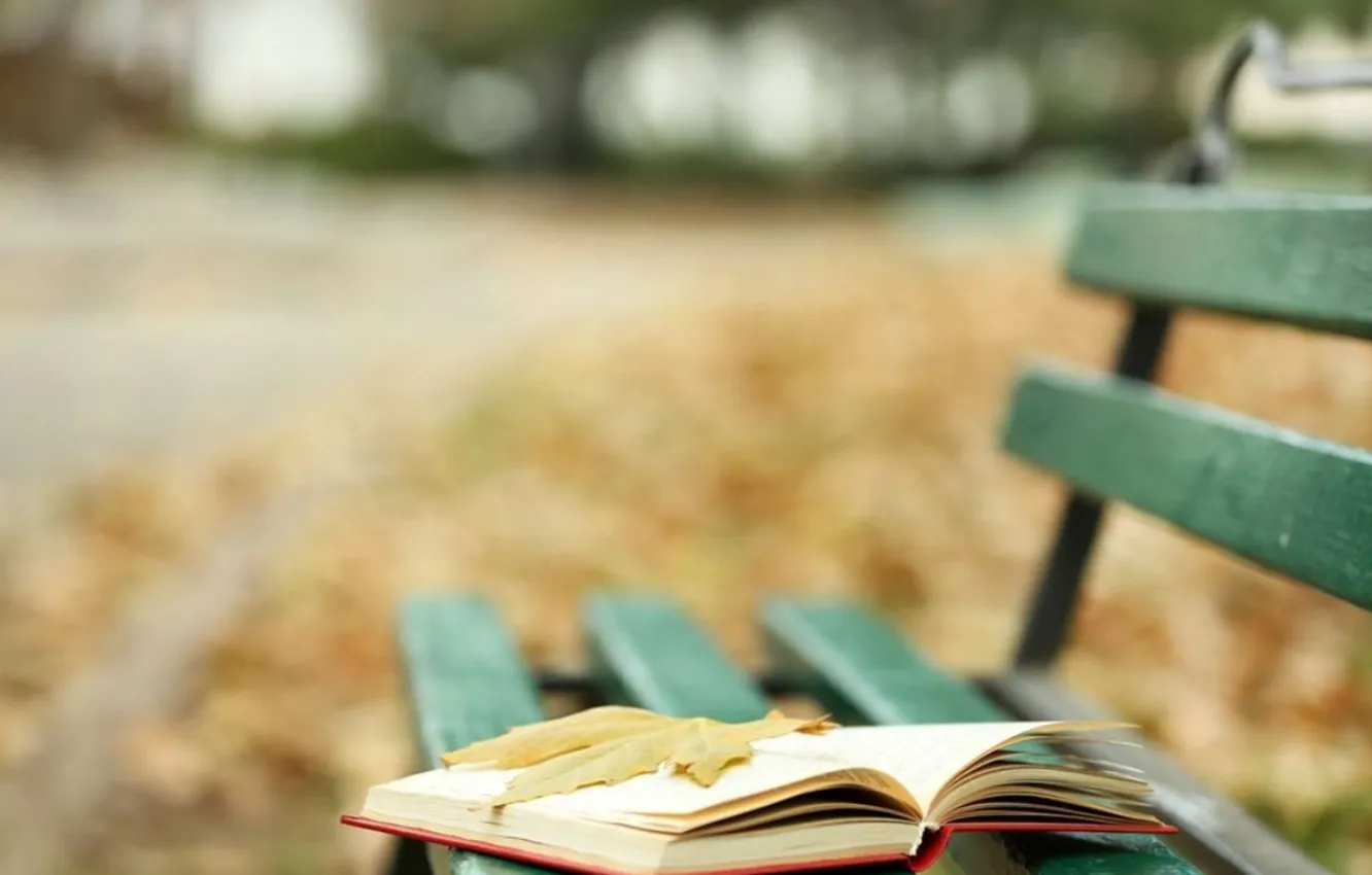 Photo wallpaper abstract, autumn, book, leaf