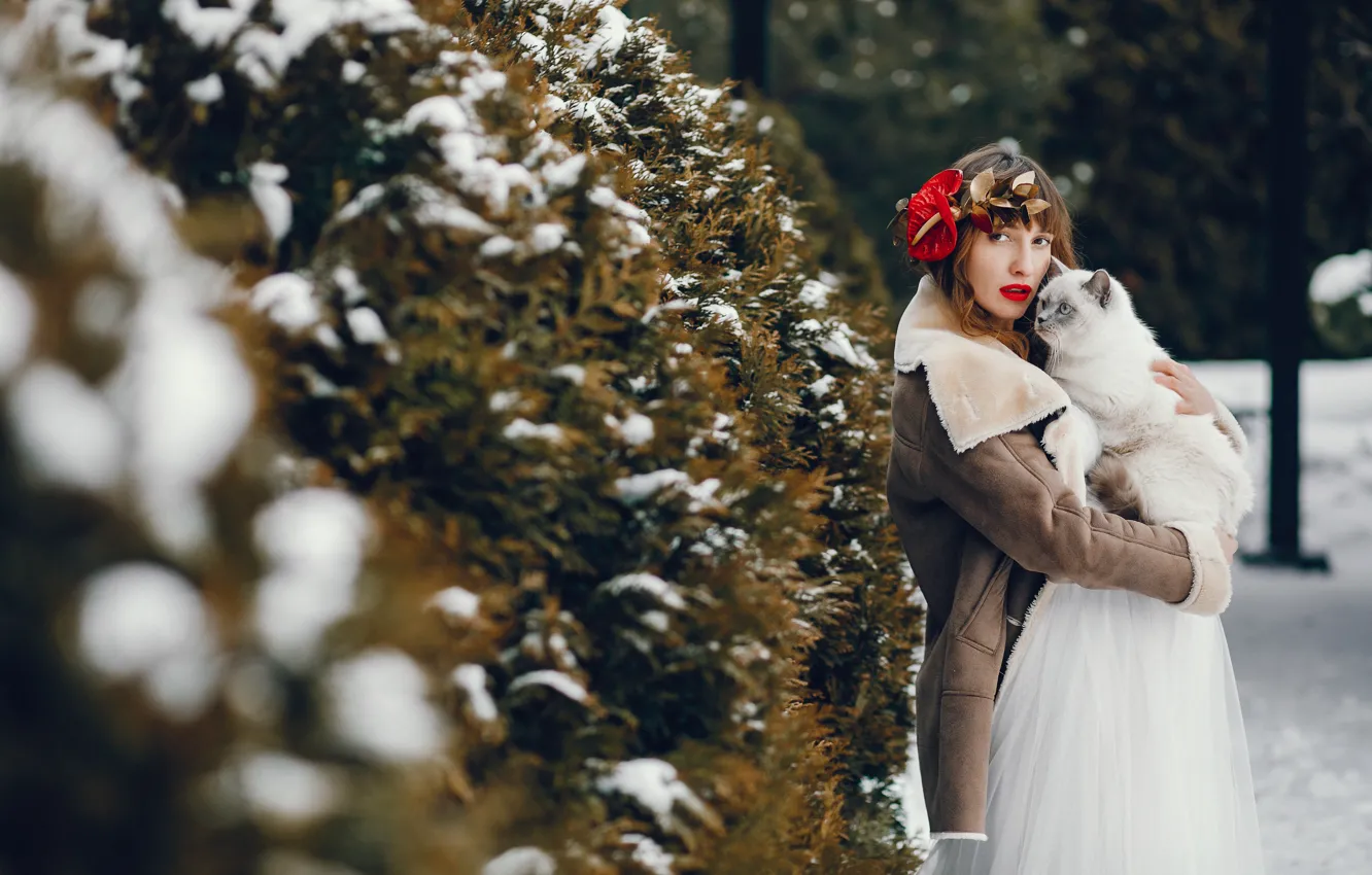 Photo wallpaper cat, cat, girl, snow, white dress