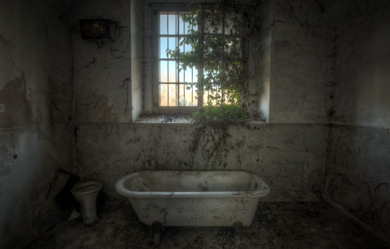 Photo wallpaper room, window, bath