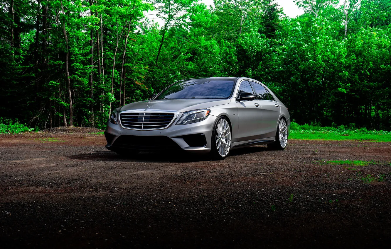 Photo wallpaper Mercedes, Silver, Forest, S-class, W222, S63