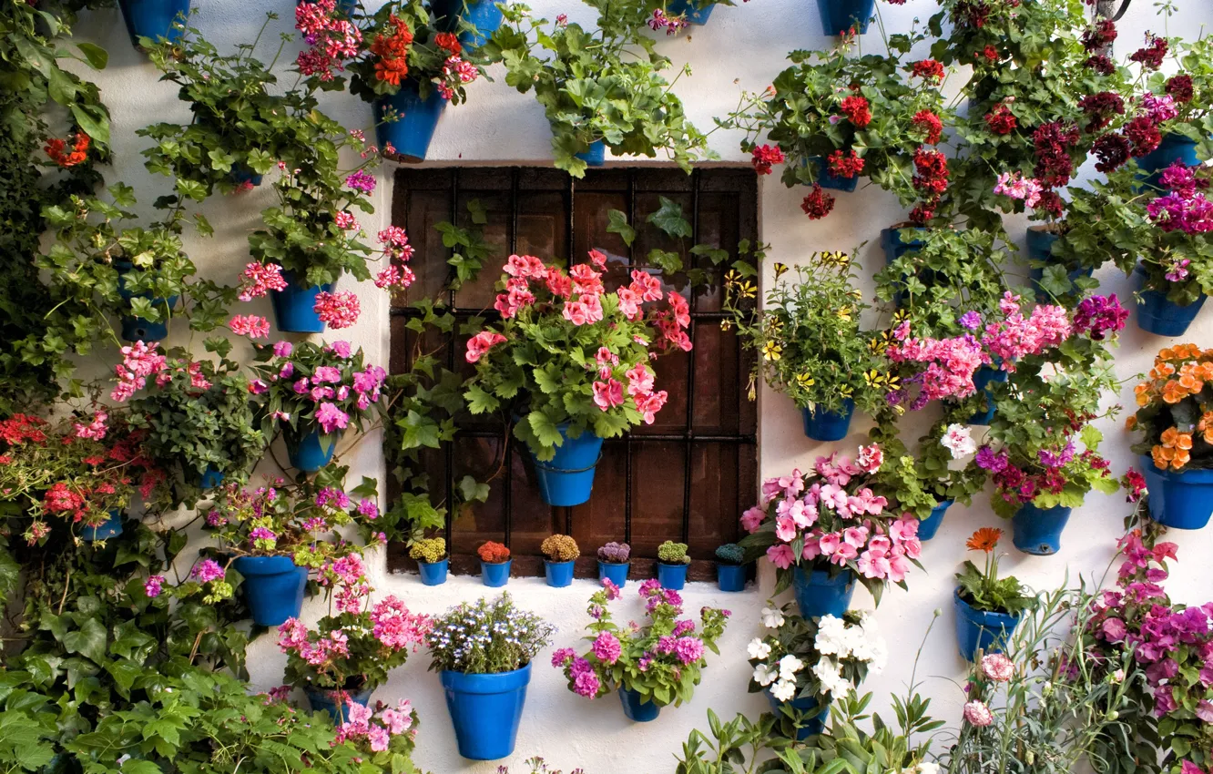 Photo wallpaper leaves, flowers, grille, Wall, window, pots