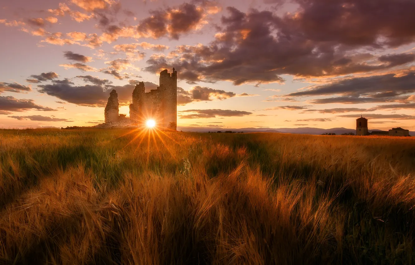 Photo wallpaper field, the sun, clouds, rays, sunset, castle, dawn, rye