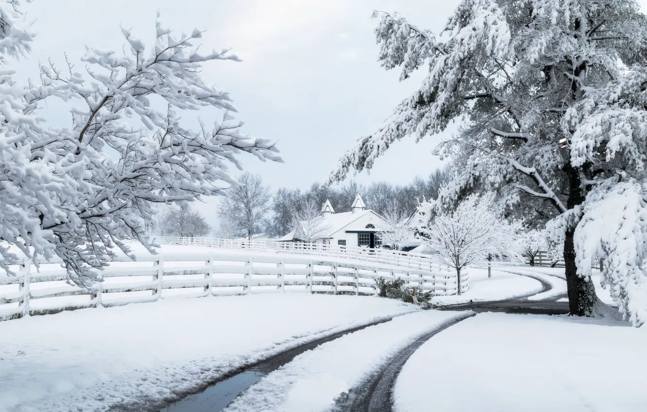 Photo wallpaper winter, road, snow, house, the fence