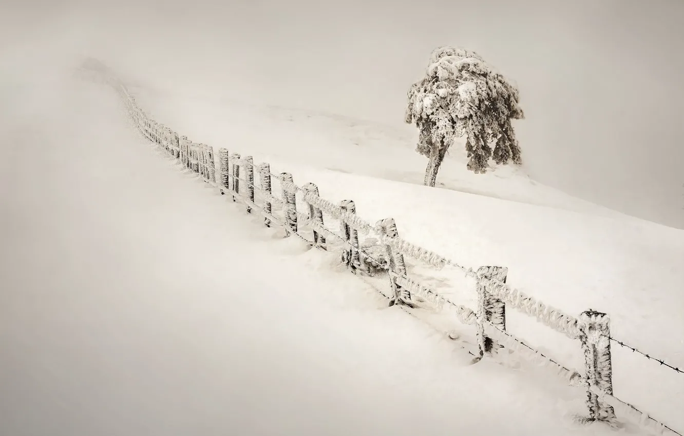 Photo wallpaper Nature, Winter, The fence, Snow
