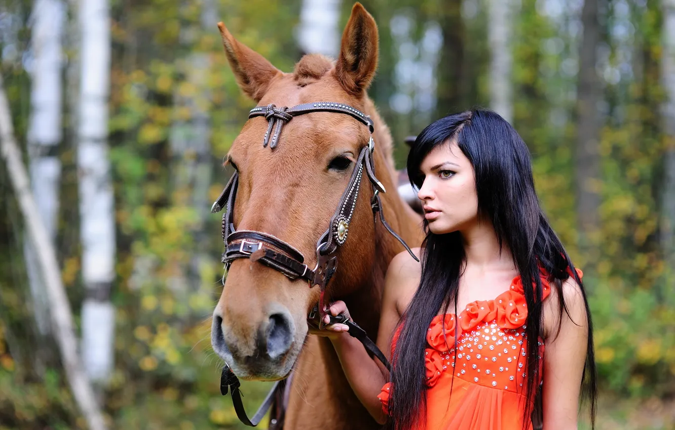 Photo wallpaper girl, nature, horse