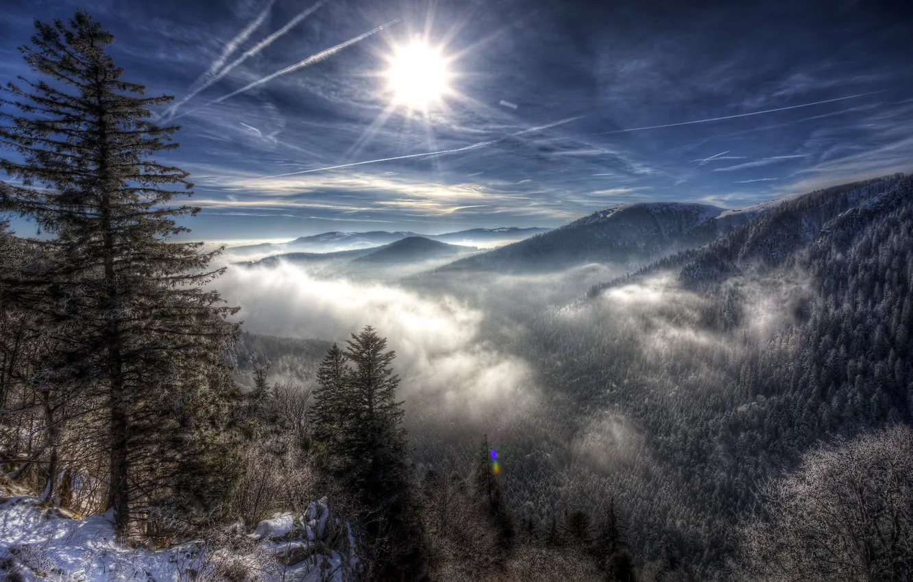 Photo wallpaper forest, trees, mountains, clouds, snow, sun, sunrays