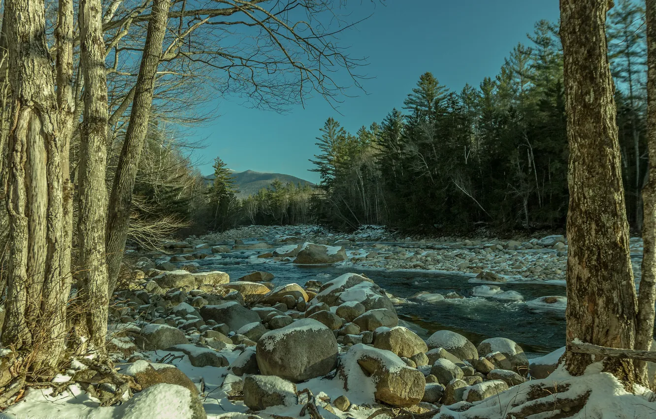 Photo wallpaper forest, the sky, snow, trees, mountains, river, stones