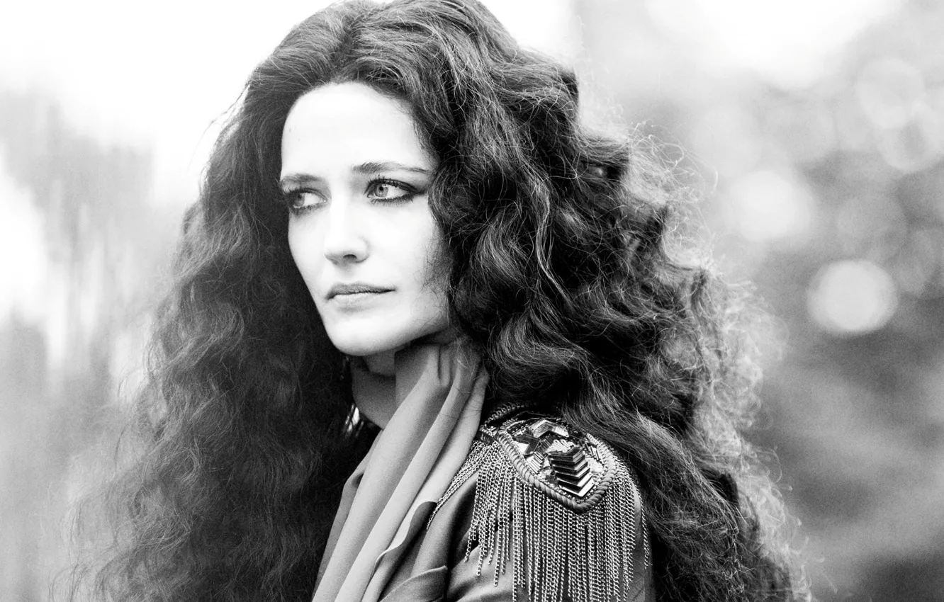 Photo wallpaper actress, black and white, curls, Eva Green, Eva Green