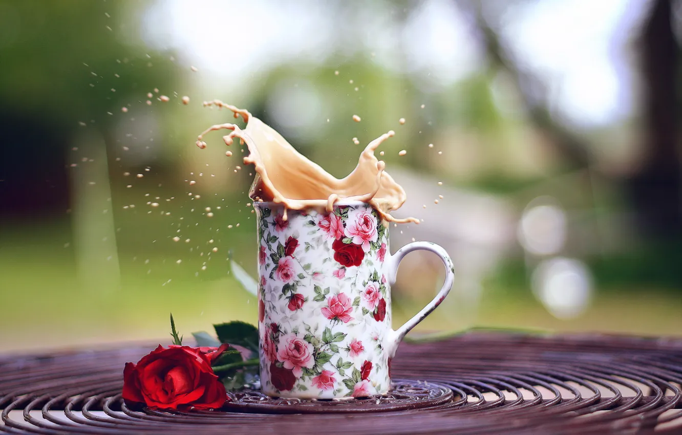 Photo wallpaper flower, rose, mug