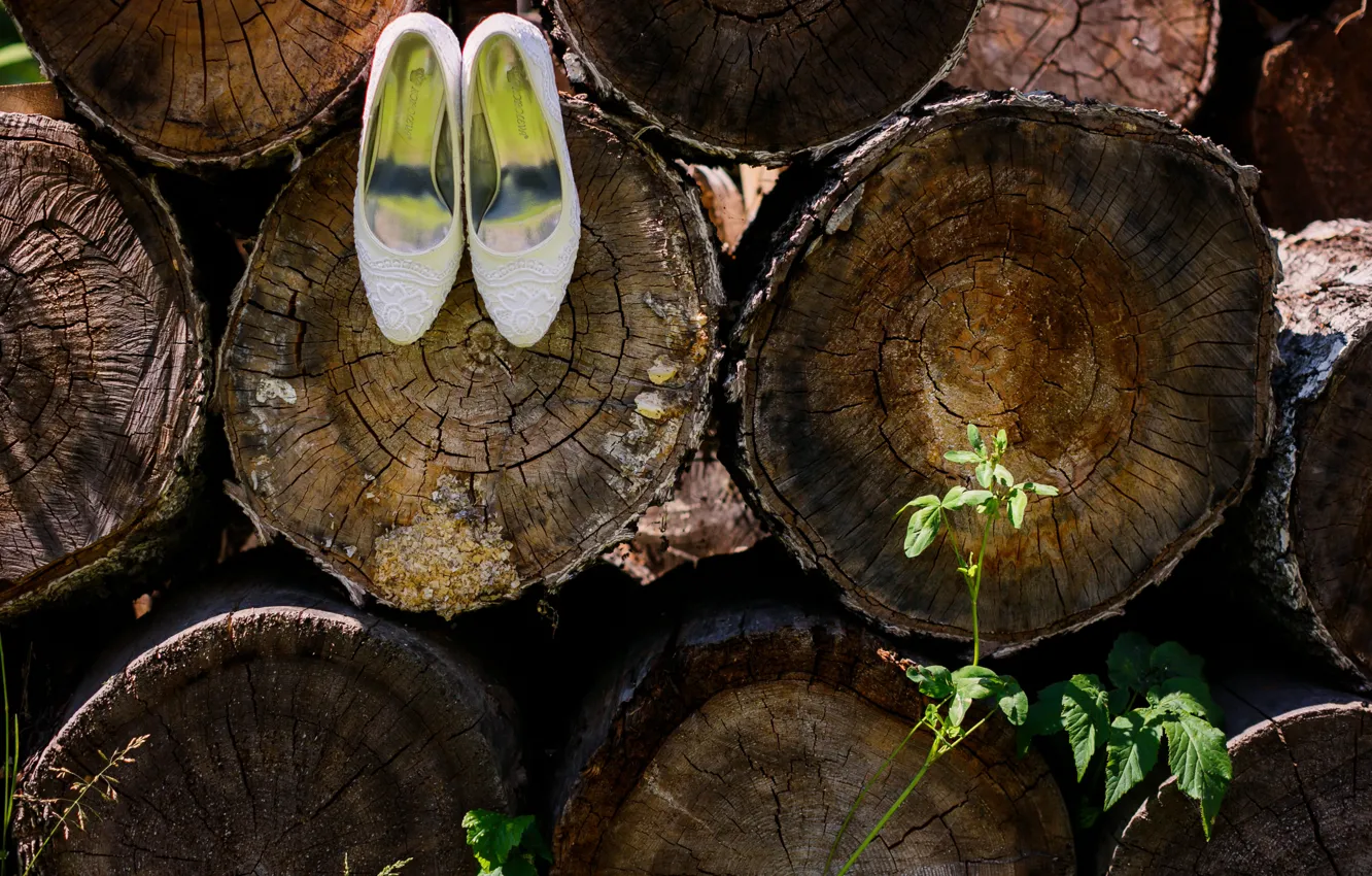 Photo wallpaper summer, shoes, log, the bride, Svadba