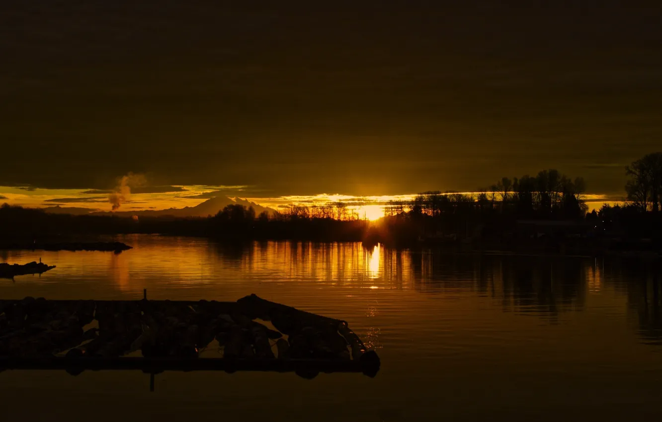 Photo wallpaper trees, river, dawn