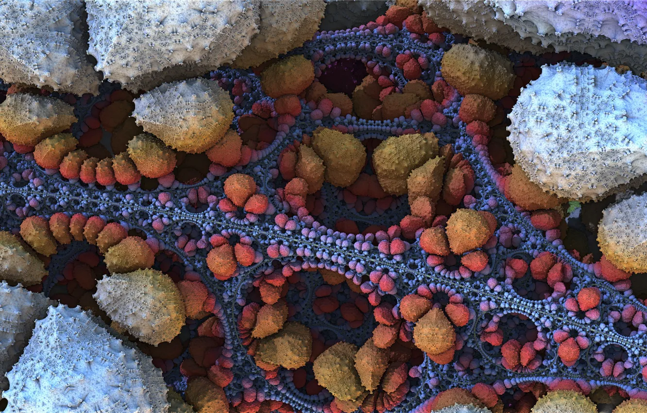 Photo wallpaper pattern, fractal, 3D graphics