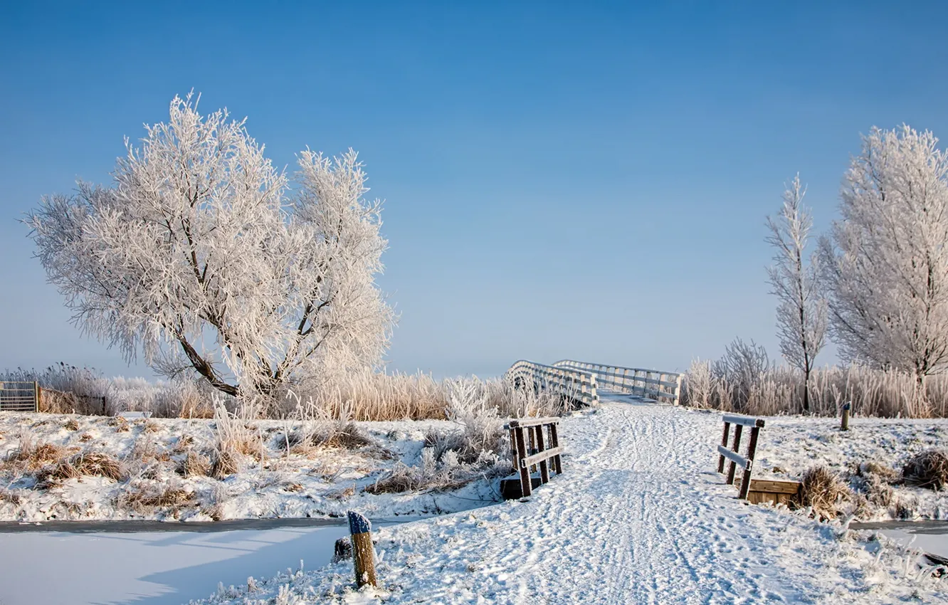 Photo wallpaper winter, snow, landscape, bridge