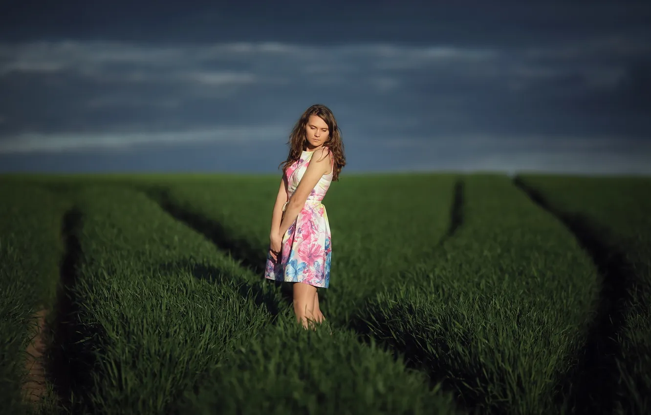 Photo wallpaper field, girl, pose, the evening
