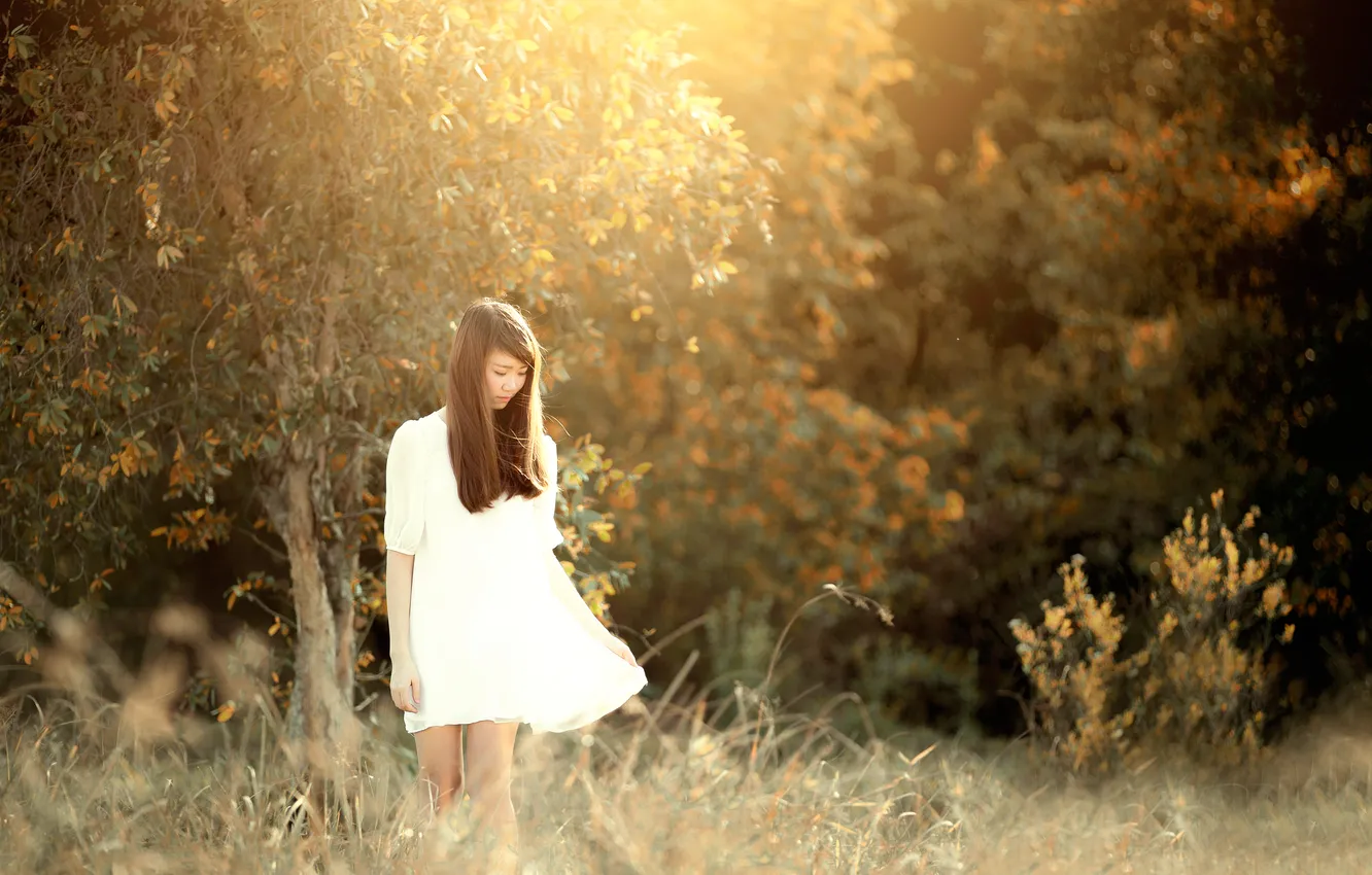 Photo wallpaper dress, legs, Oriental girl