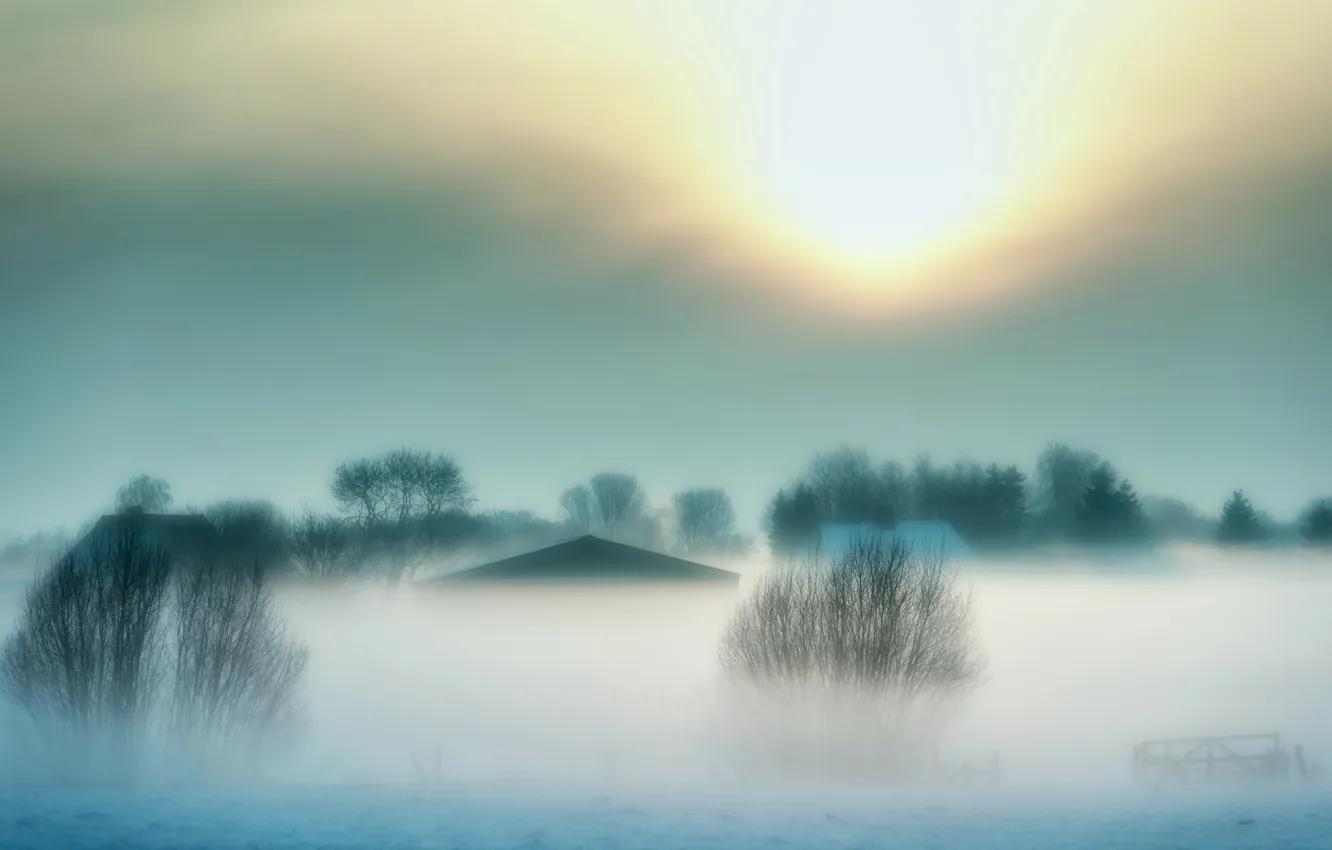 Photo wallpaper winter, landscape, fog