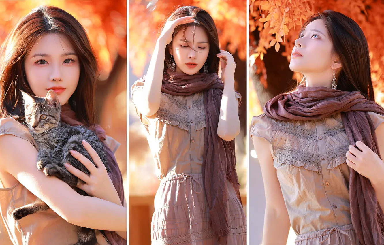 Photo wallpaper woman, kitten, smile, cat, beautiful, tree, model, pretty