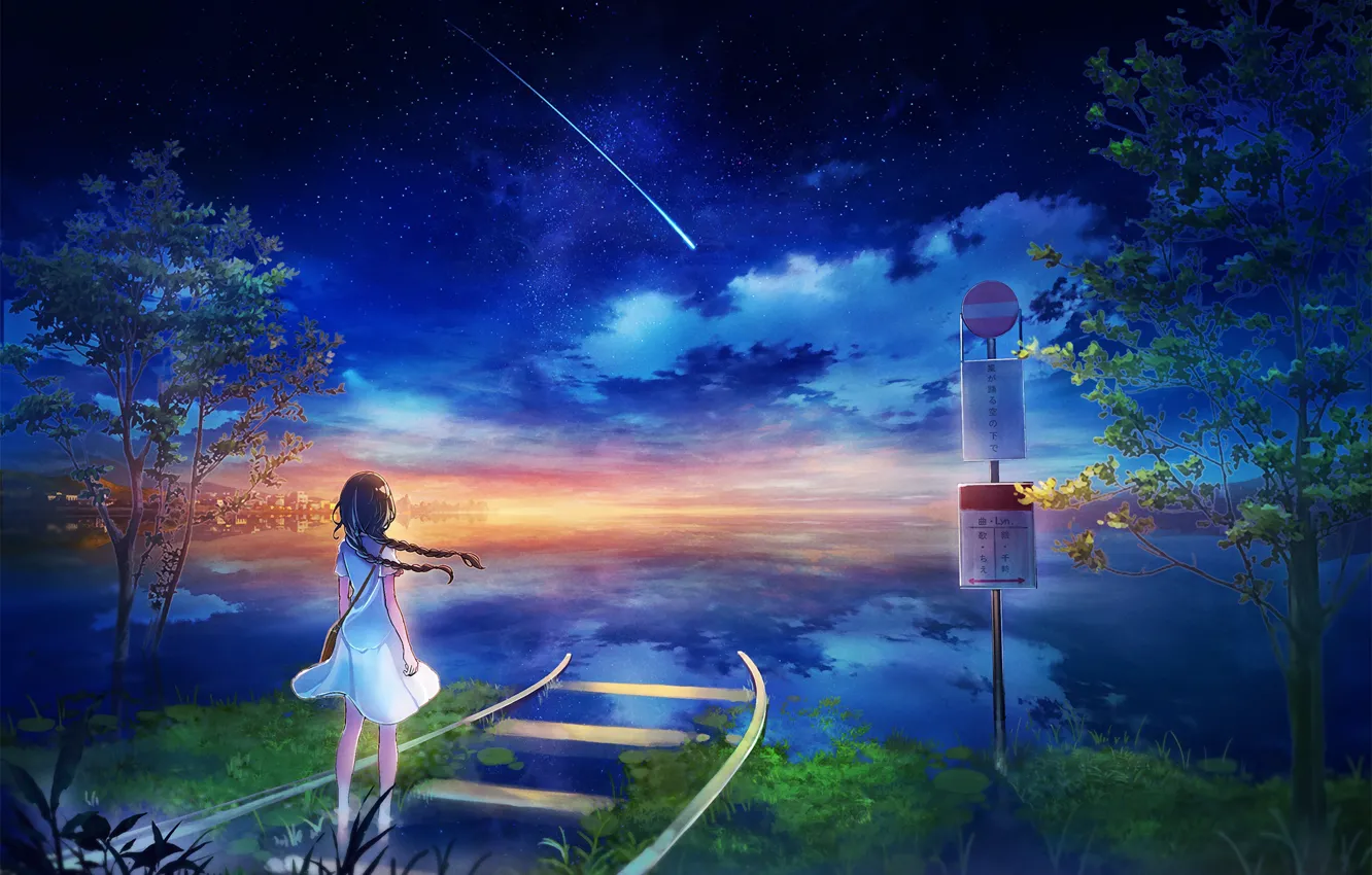 Photo wallpaper sea, trees, rails, horizon, comet, girl, road sign, starry sky