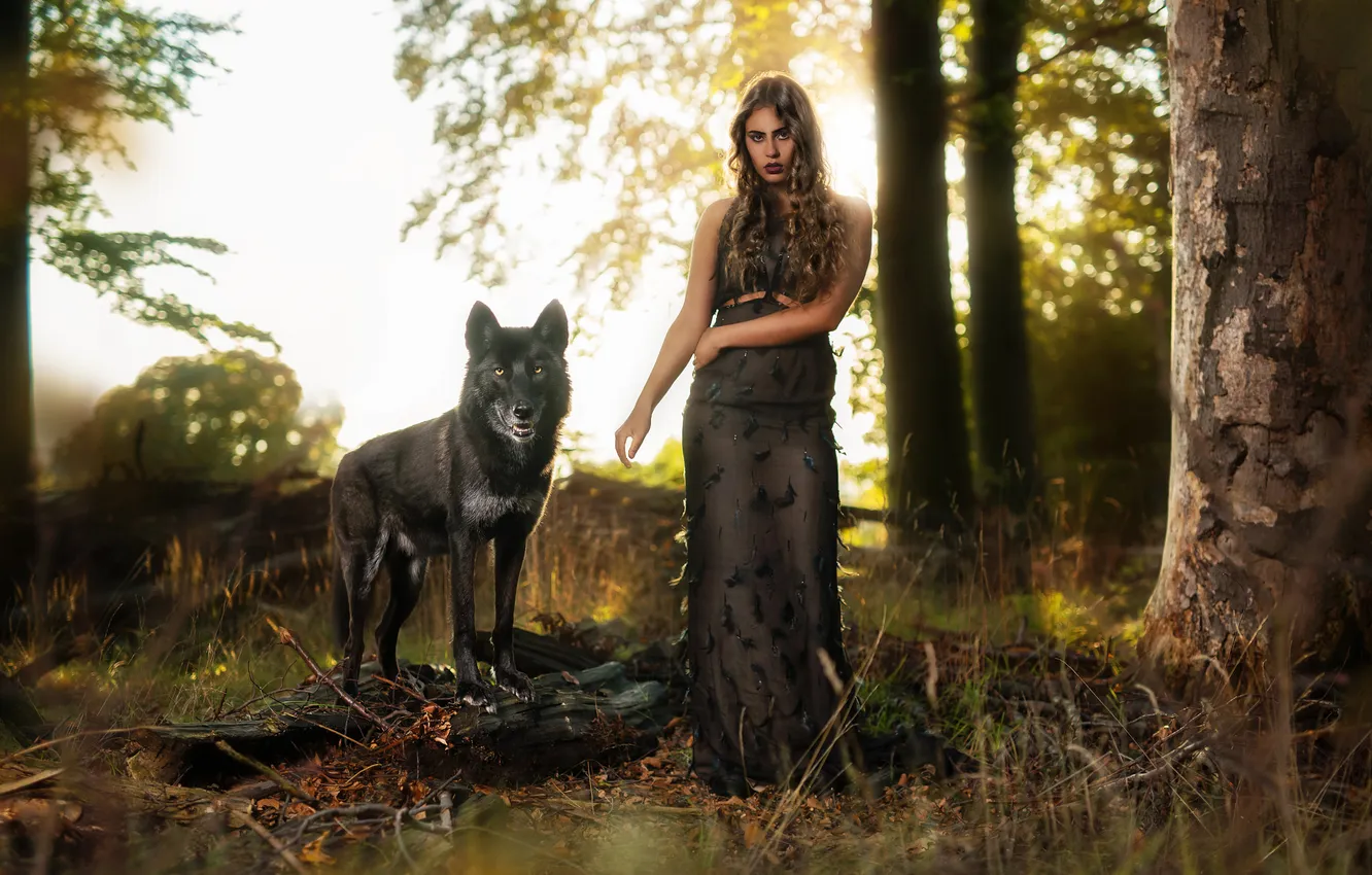 Photo wallpaper forest, grass, look, girl, light, trees, pose, style