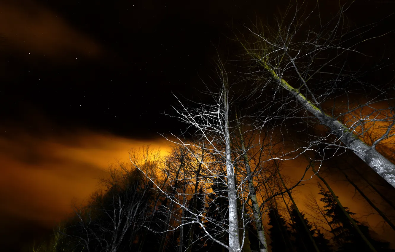 Photo wallpaper the sky, stars, night, nature, sky, nature, night, stars