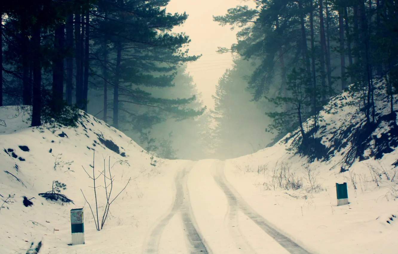 Photo wallpaper winter, road, forest, snow, trees, branches, nature, fog