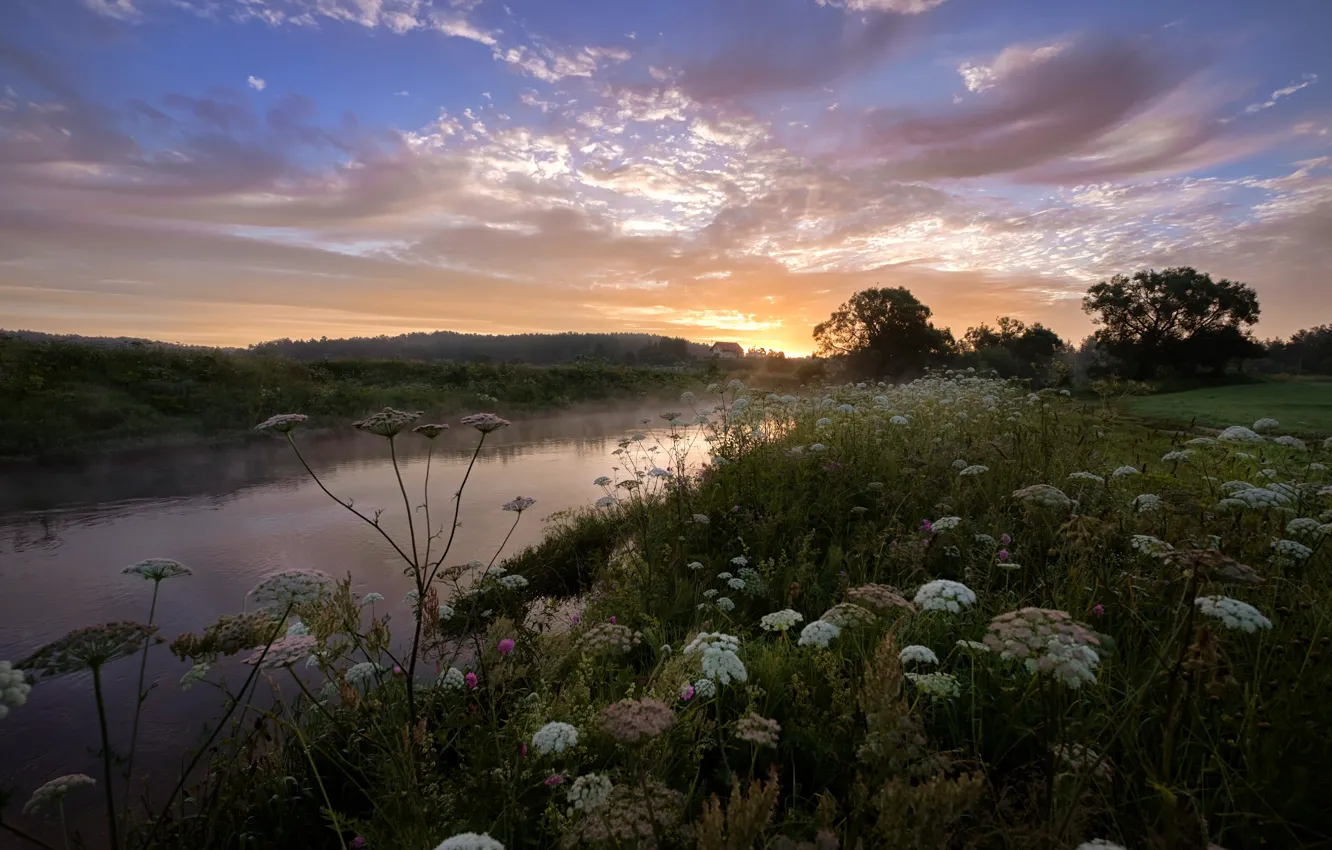 Photo wallpaper the sky, grass, clouds, river, dawn, shore, Tubifex