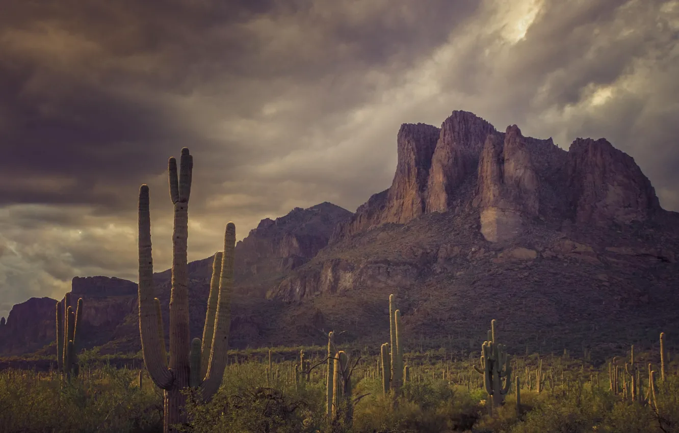 Photo wallpaper the sky, clouds, mountains, clouds, nature, rocks, cacti, USA