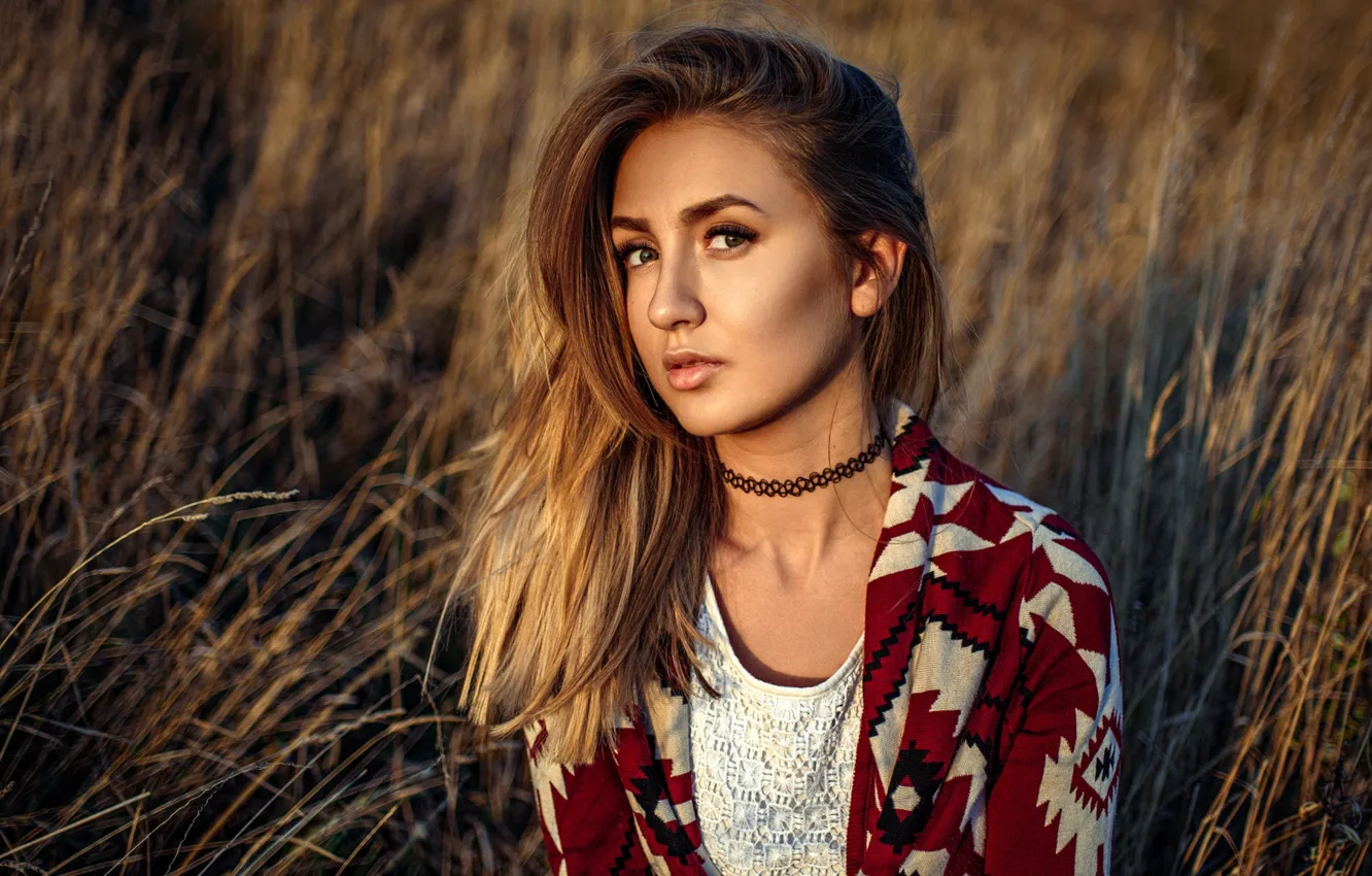 Photo wallpaper field, grass, look, the sun, nature, model, portrait, brown hair