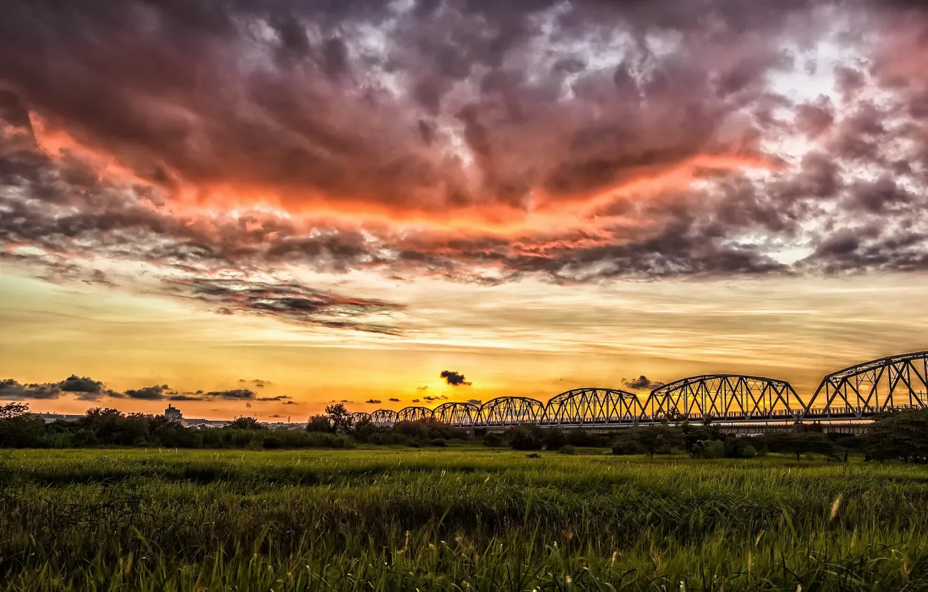 Photo wallpaper road, field, sunset, bridge