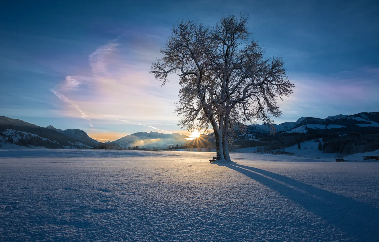 Photo wallpaper winter, the sky, clouds, snow, landscape, sunset, mountains, lonely tree