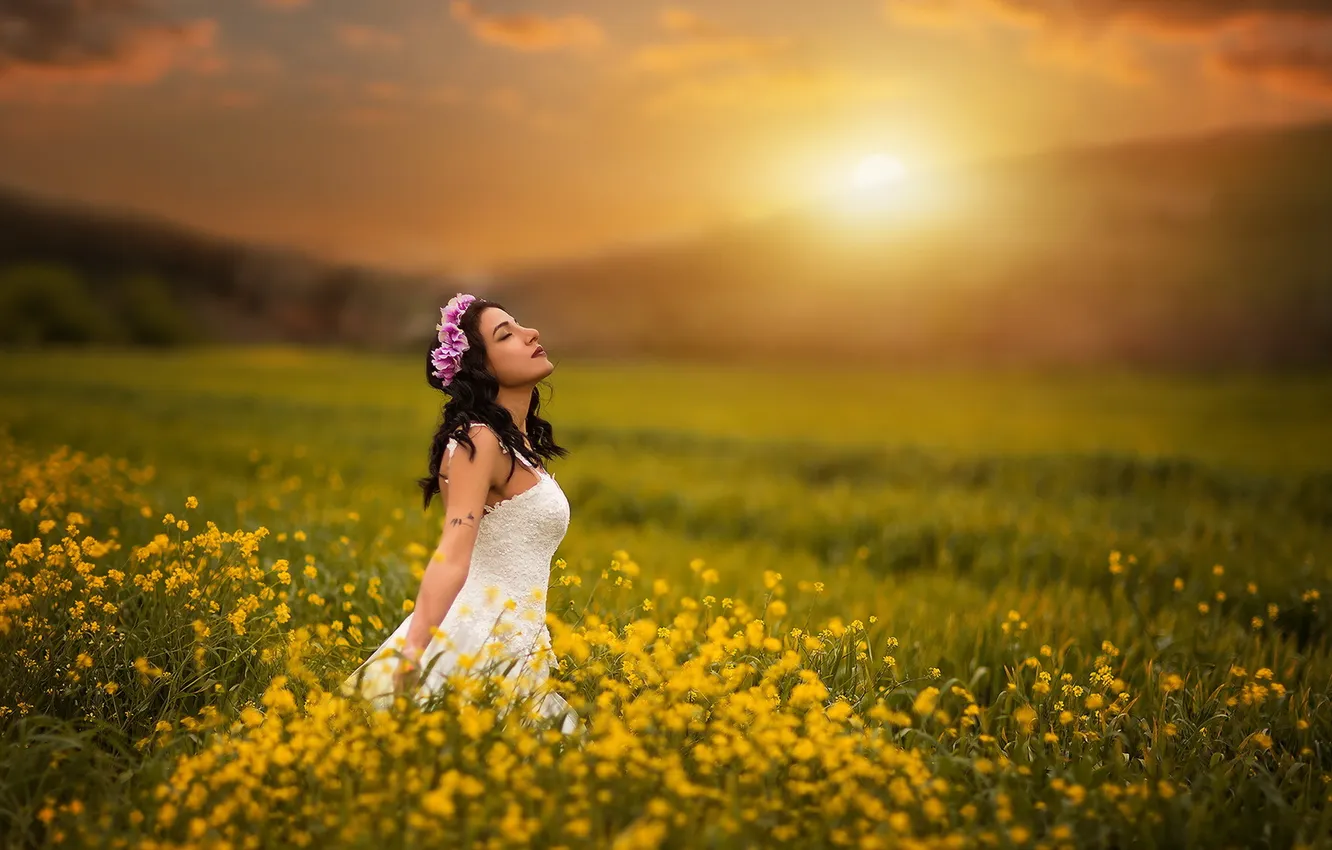 Photo wallpaper field, summer, girl, sunset