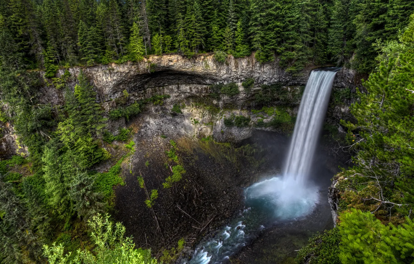 Photo wallpaper forest, trees, rock, waterfall, stream, Canada, Canada, Brandywine Falls
