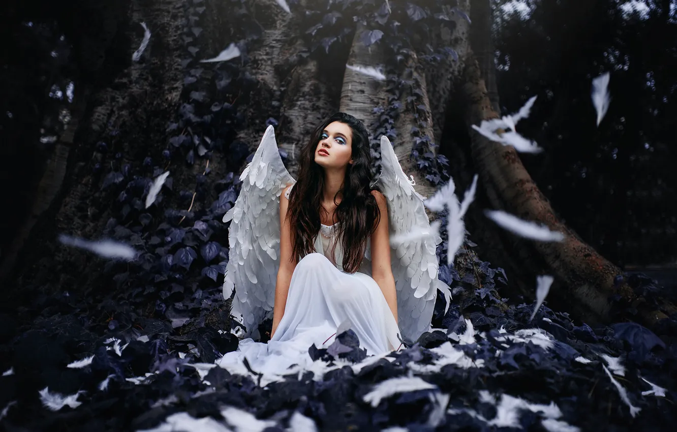 Photo wallpaper look, girl, face, background, model, hair, wings, feathers