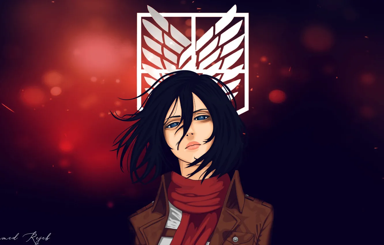 Photo wallpaper look, girl, Mikasa Ackerman, Attack Of The Titans, Attack On Titan, Shingeki No Kyojin, Mikasa …