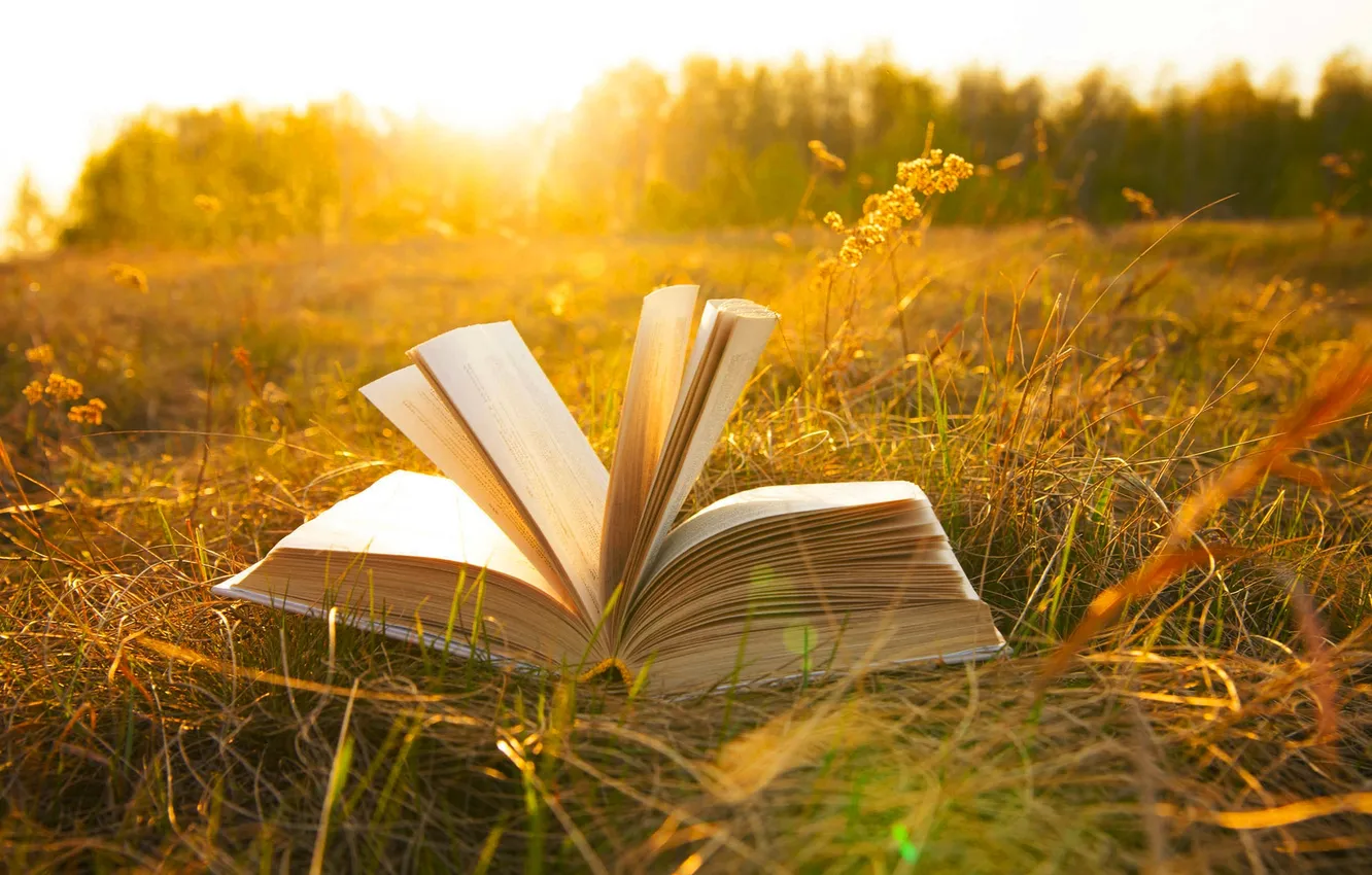 Photo wallpaper field, forest, the sky, grass, the sun, clouds, trees, landscape