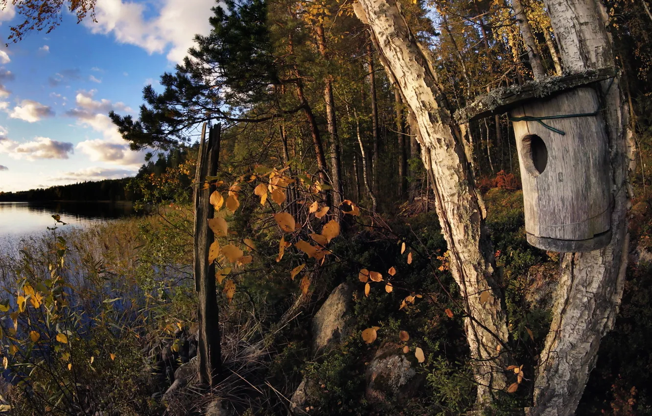 Photo wallpaper autumn, lake, birdhouse
