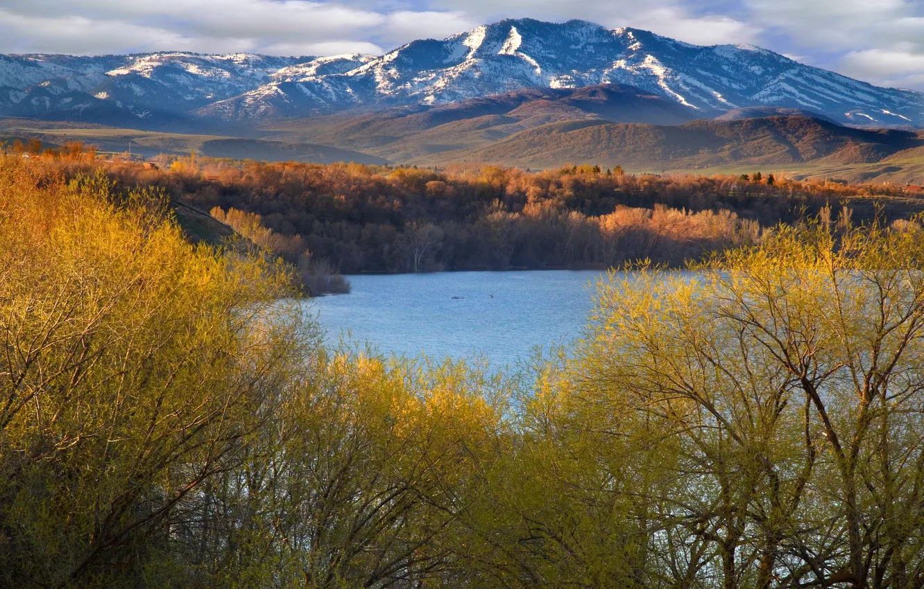 Photo wallpaper trees, mountains, lake, the evening