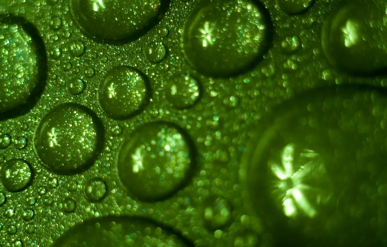 Photo wallpaper green, Wallpaper, water, drops