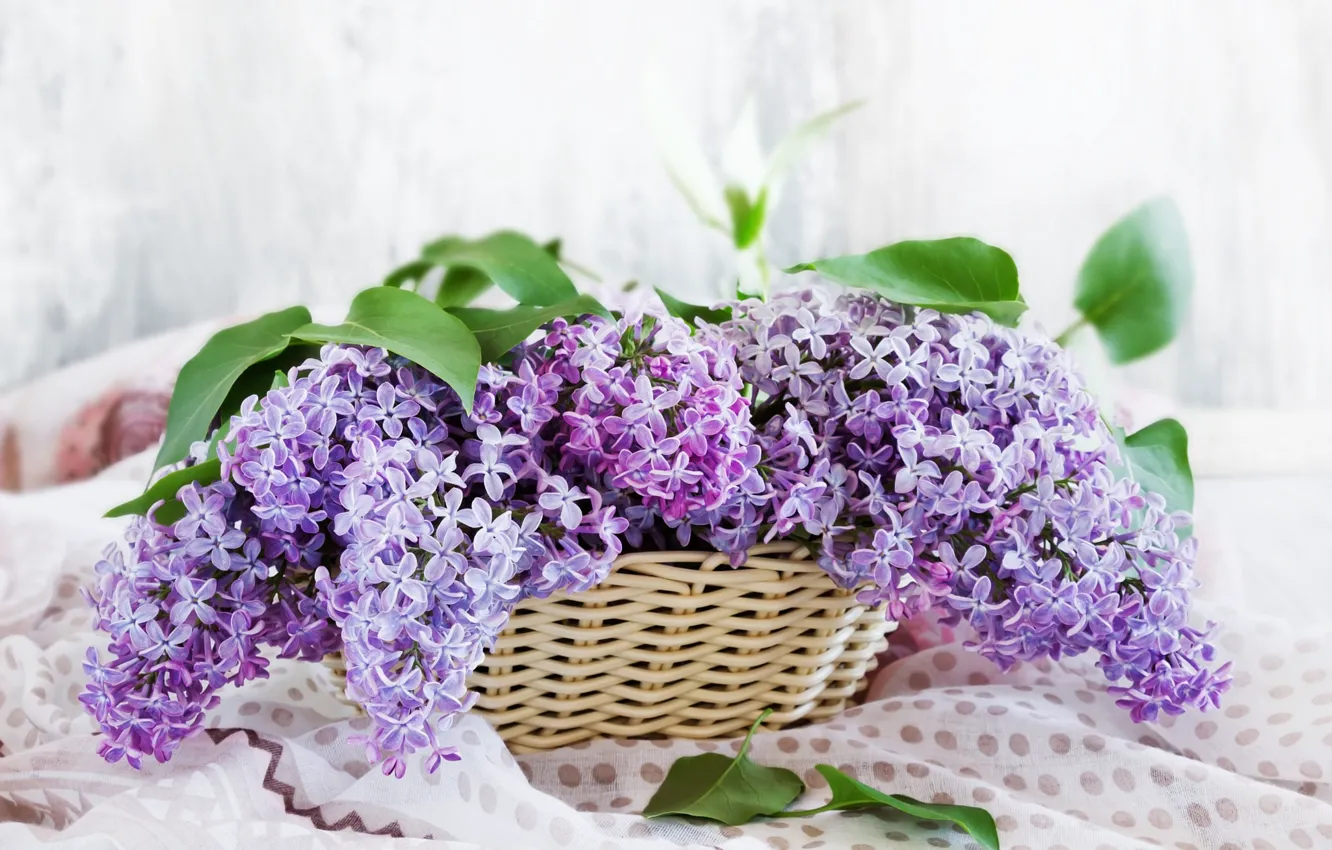 Photo wallpaper leaves, flowers, branches, basket, fabric, lilac