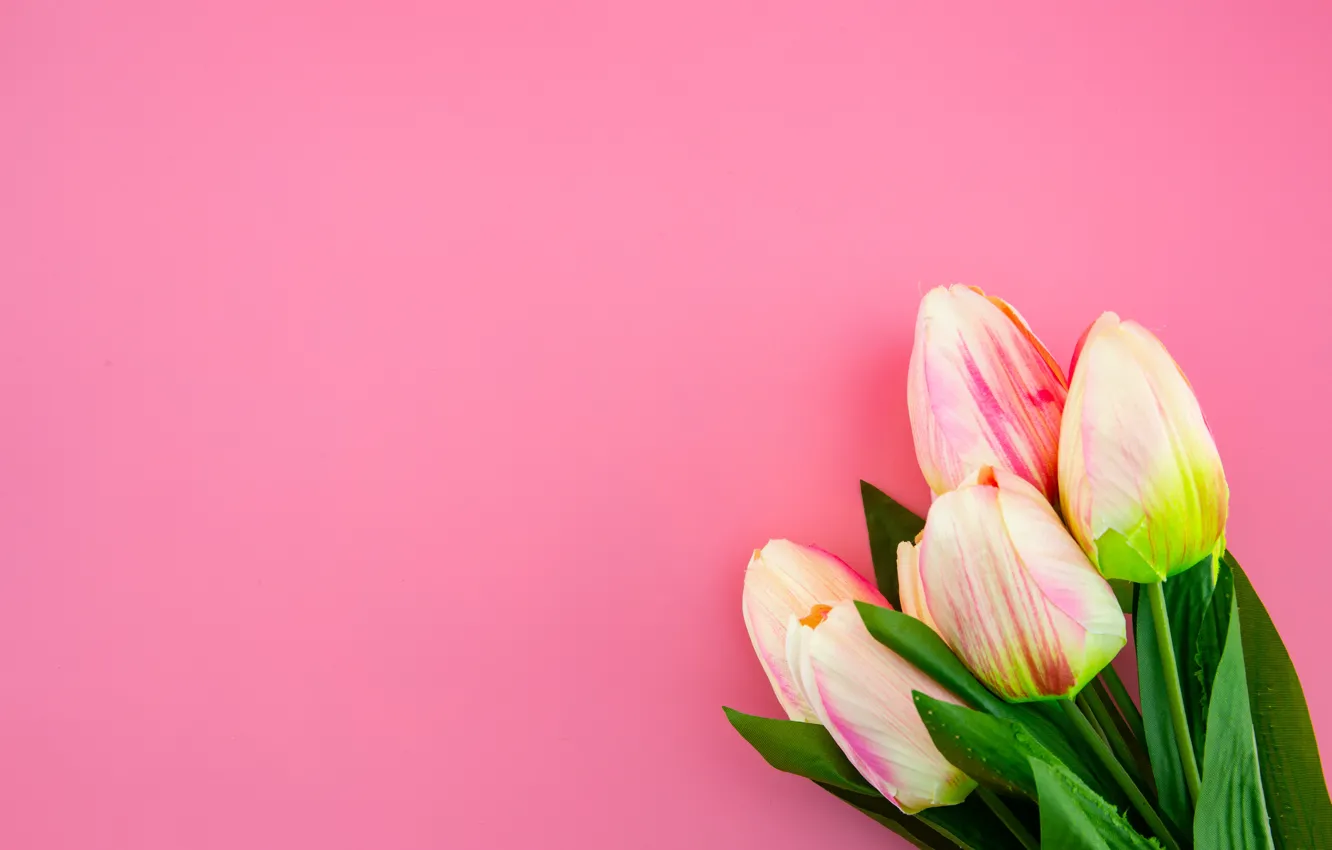 Photo wallpaper flowers, background, bouquet, tulips