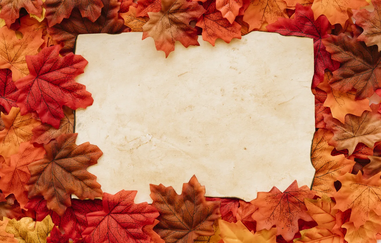Photo wallpaper autumn, leaves, background, colorful, background, autumn, leaves, autumn