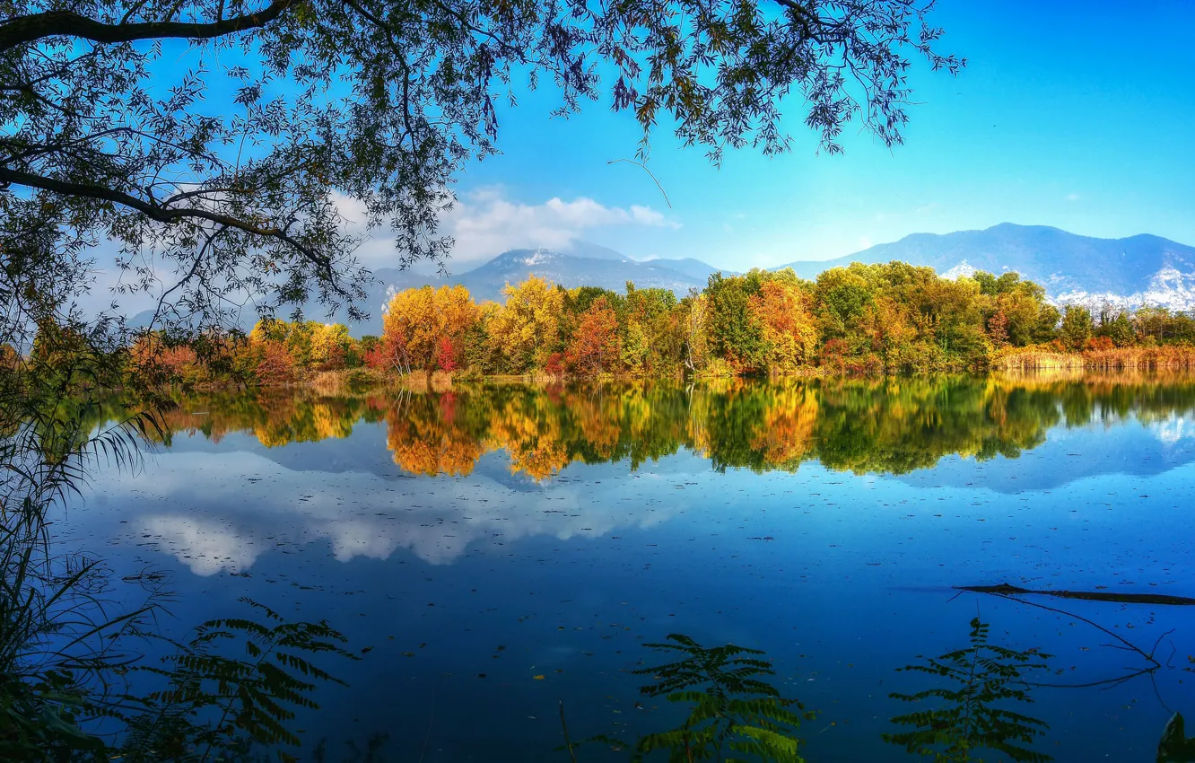 Photo wallpaper autumn, trees, branches, lake, reflection