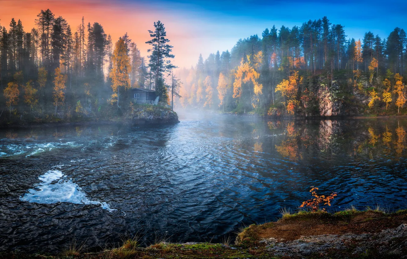 Photo wallpaper fog, lake, morning