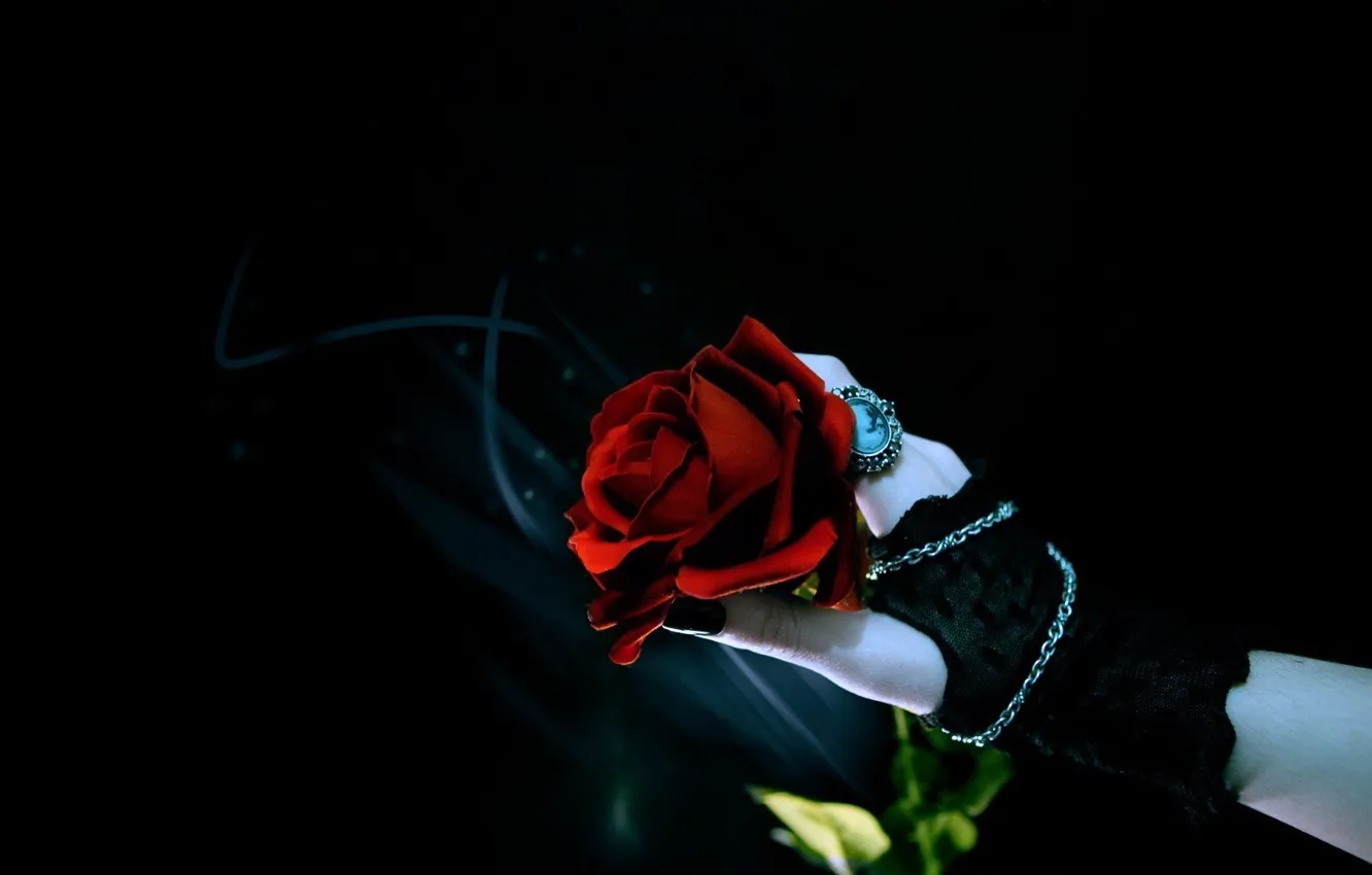 Photo wallpaper rose, hand, black background