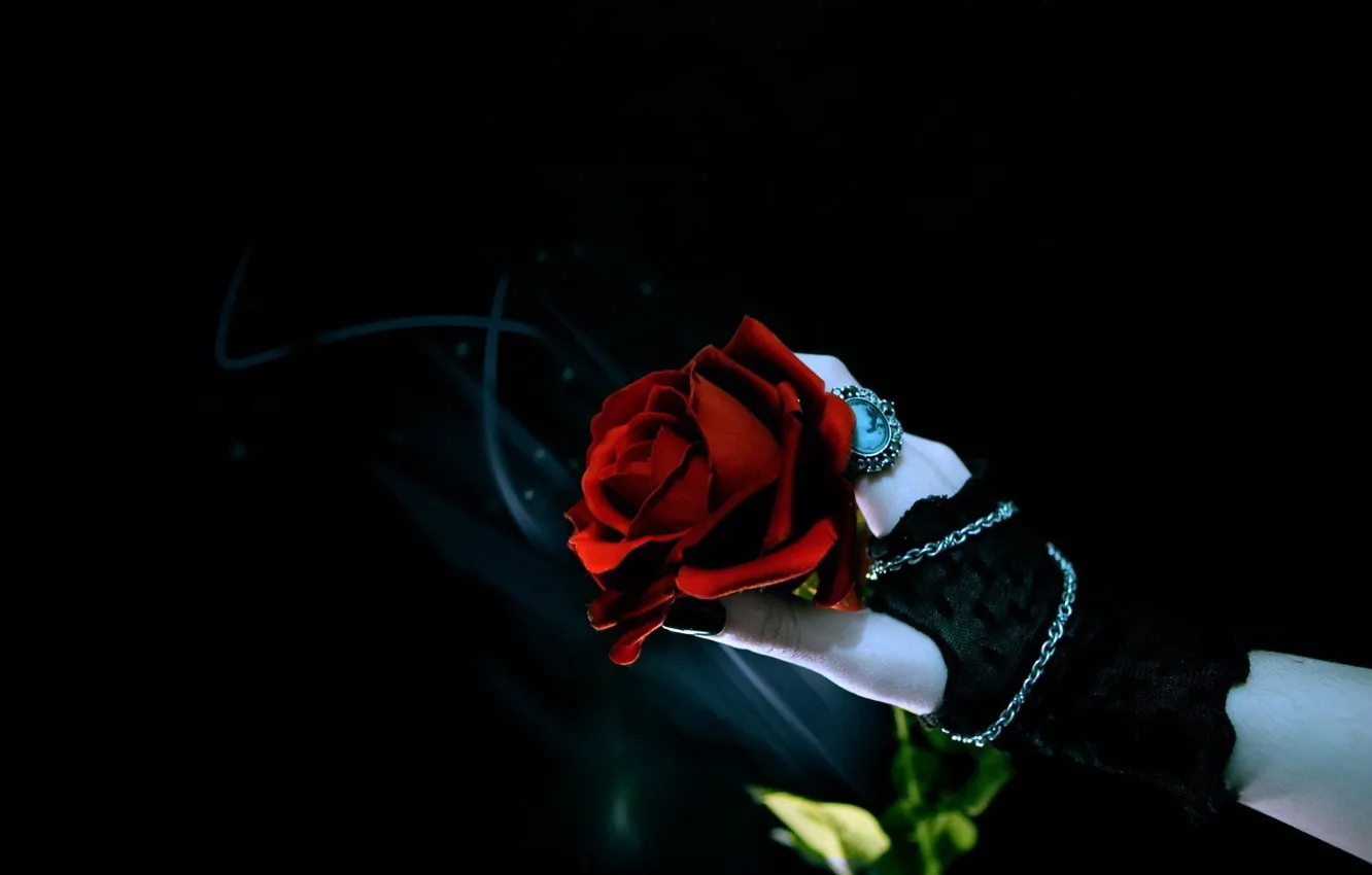 Photo wallpaper roses, hands, black background