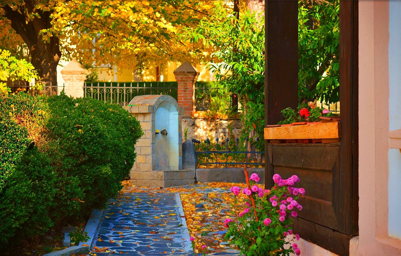 Photo wallpaper autumn, flowers, foliage, patio, flowers, autumn, leaves, fall