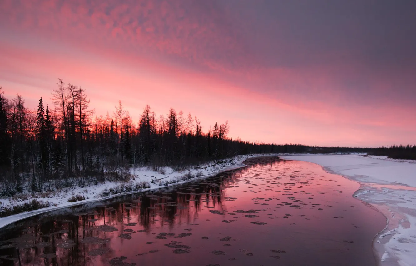 Photo wallpaper winter, snow, trees, sunset, river