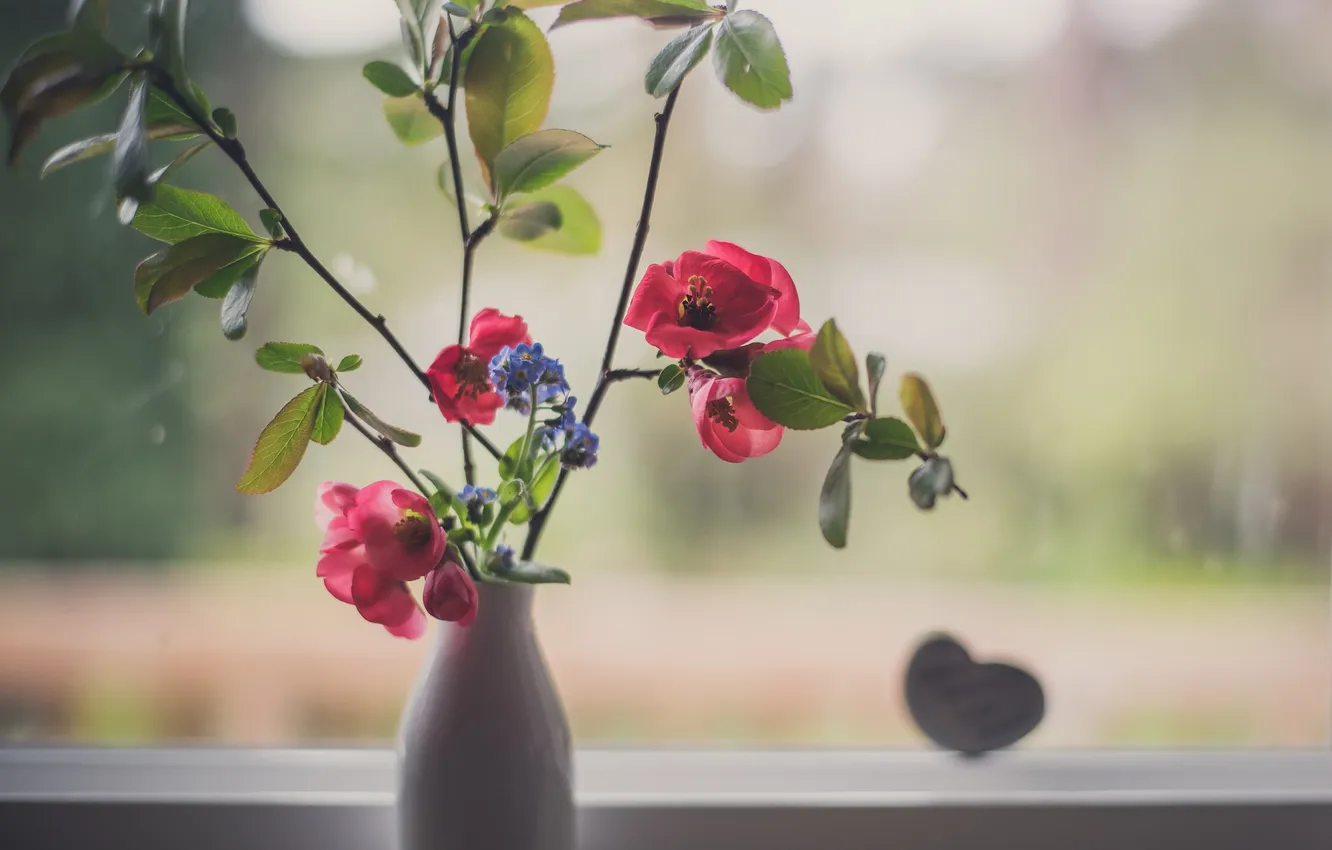 Photo wallpaper flowers, petals, vase