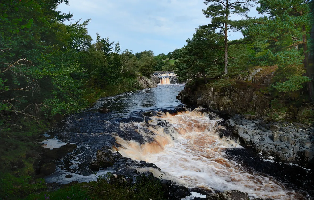 Photo wallpaper forest, river, stones, waterfall, stream